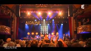 Alcaline, le concert Bernard Lavilliers France 2 2014-06-05