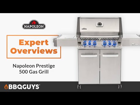 Napoleon Prestige Gas Grill Expert Review