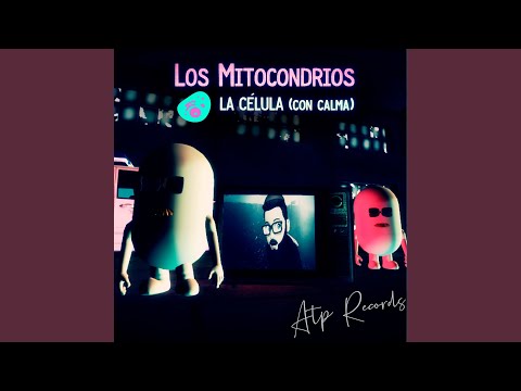 La Célula (Con Calma)