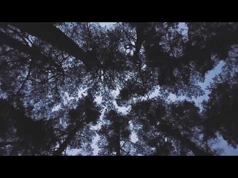 DJ DimixeR & Insidia - Dum Da Dum (CheeryMosh remix)