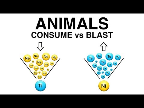 ANIMALS: Consume vs Blast Video