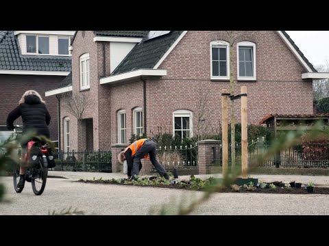 Vergroening Stationsstraat Raalte 2021