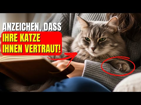 10 things cats do when they trust you deeply and you never noticed!