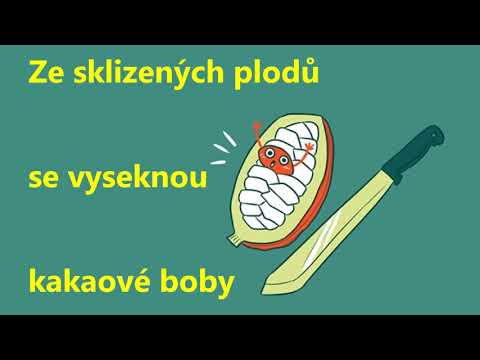 Výroba zdravé čokolády neobyčejné chuti