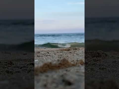 Sea love ❤️ #sea #chennai #alone#life #marinabeach #fish #waves #wavesounds
