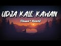Udja Kale Kawan (Slowed + Reverb) | Gadar 2| Victory | Lofi Song | NYK Music ...