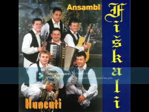 Ansambl Fiškali - Za vse pajdaše