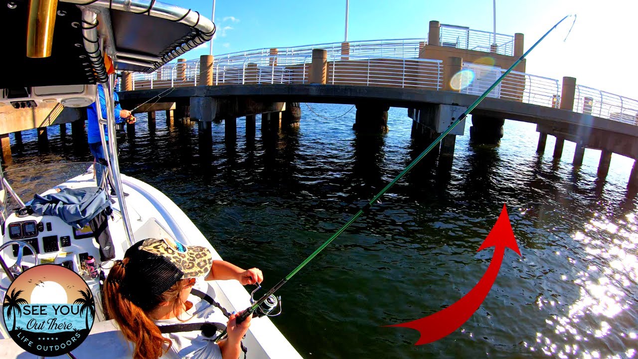 Monster fish live under these docks ***with Cameraman Ron***
