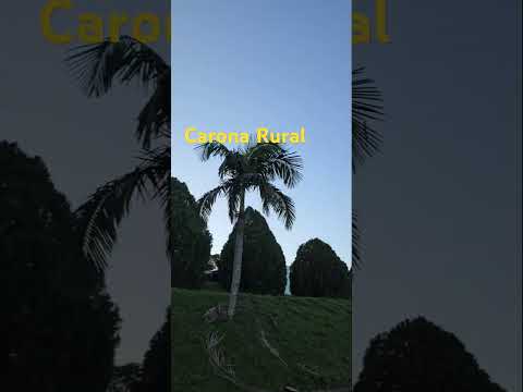 Santa Lúcia-Nova Candelária #riograndedosul #vidanointerior #rurallife #vidanaroça #rural