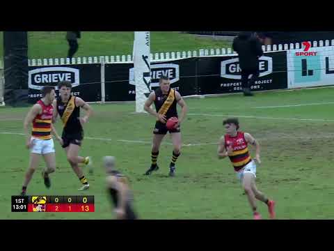 Rd 12 Hostplus SANFL Snapshot - Adelaide's Lachlan Gollant soccers off ground