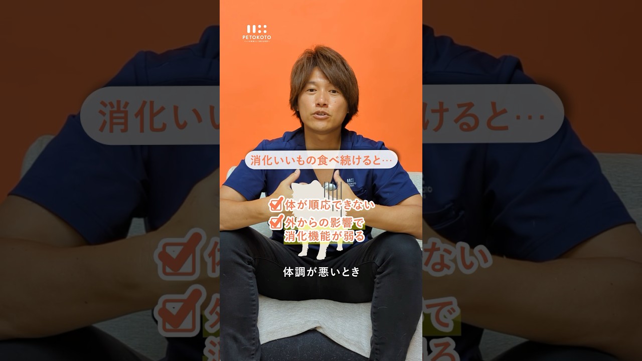 実は知らない？！ ドライフードによる消化機能の影響👀