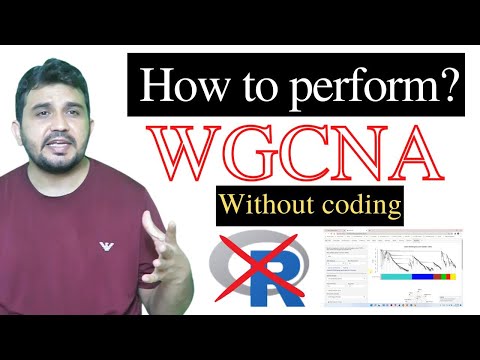 How to perform Weighted gene co-expression network analysis (WGCNA) without coding?