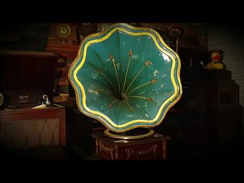 Havana. Tango. Lyman's California Ambassador Orchestra. Brunswick 78rpm record. Kalophone Phonograph