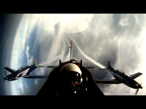 Silver Falcons (The3Ship)