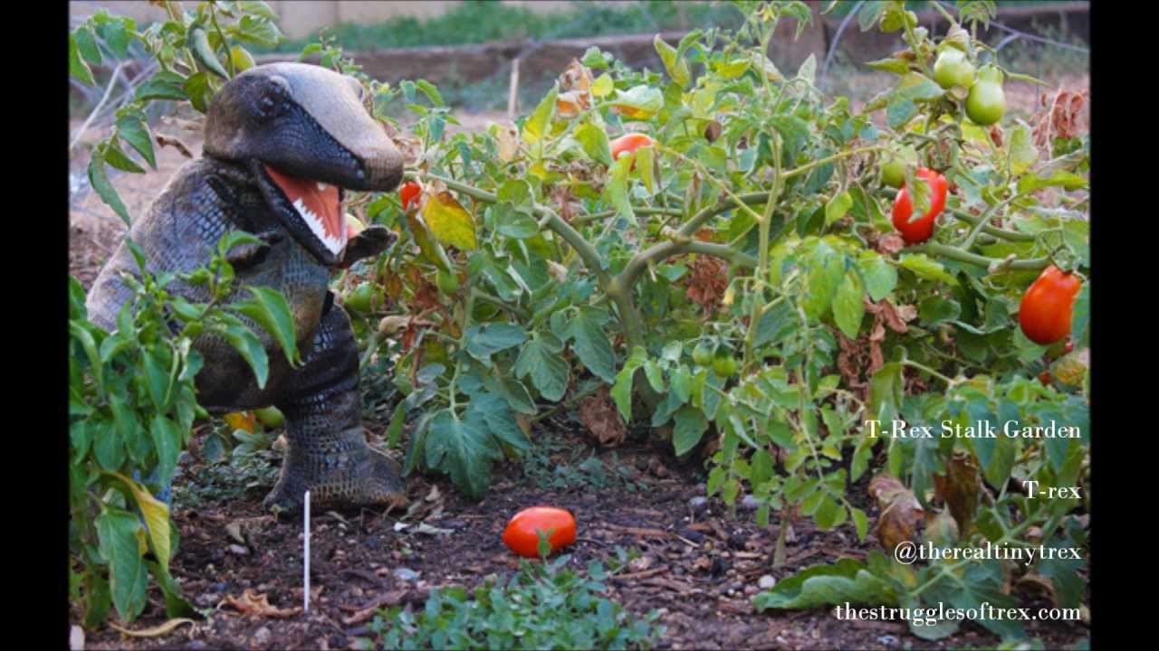 SciArt Gallery at ScienceOnline 2013