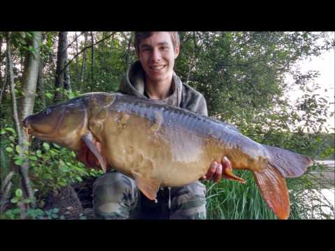 karpervissen jaaroverzicht 2016