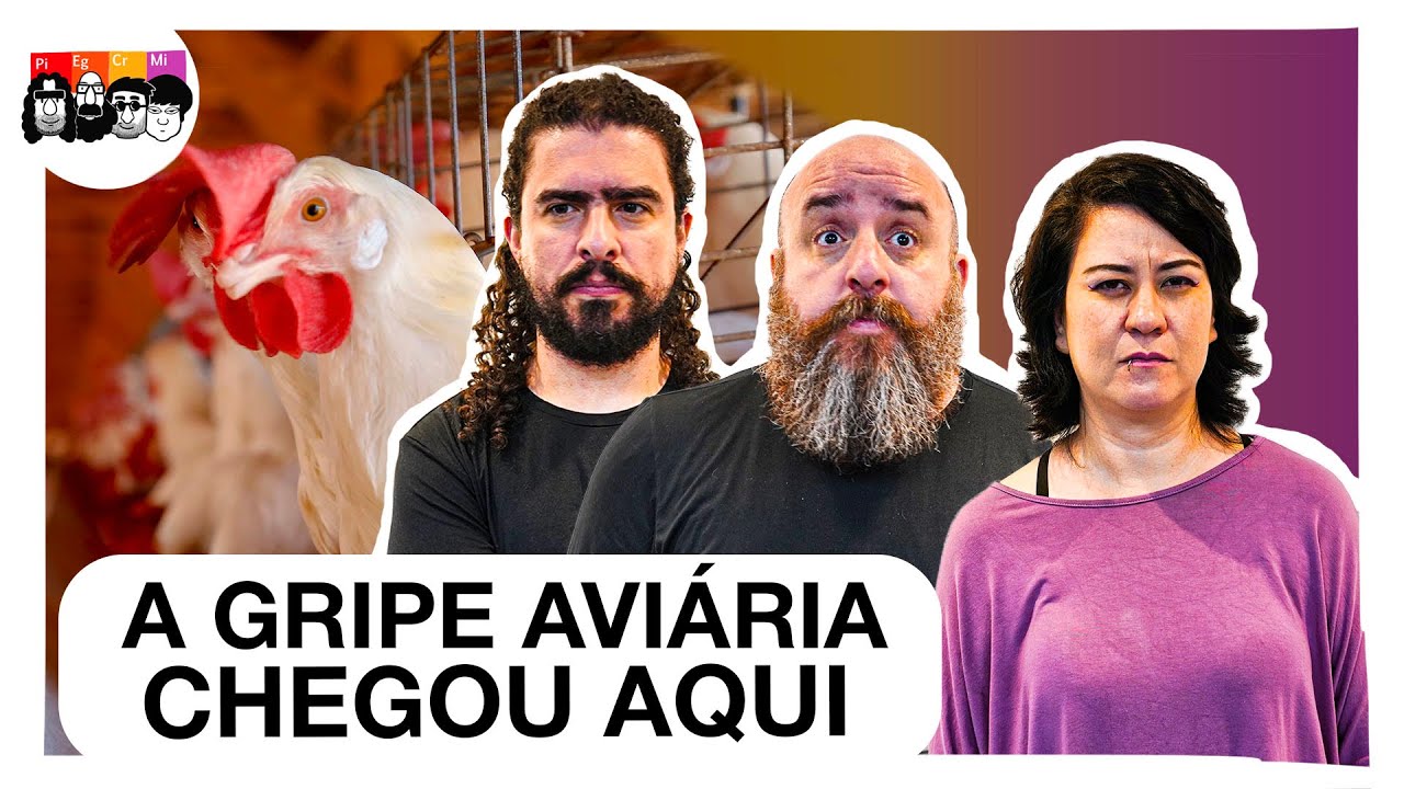 Gripe aviária: o que você precisa saber agora que o H5N1 chegou ao Brasil