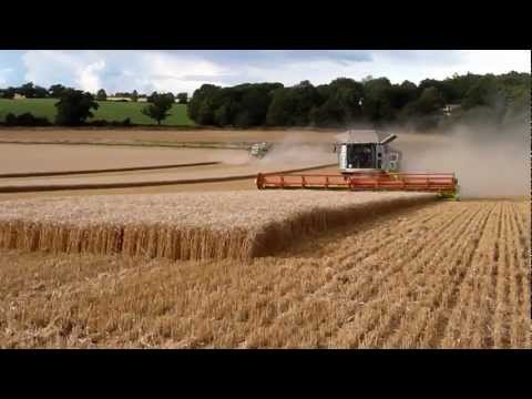 Biggest combine harvesters in the world! Video