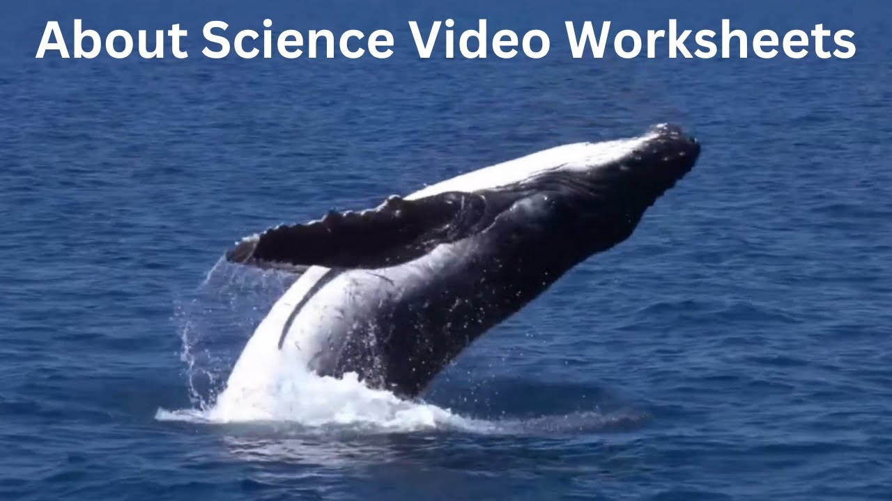 Intro to Science Video Worksheets.