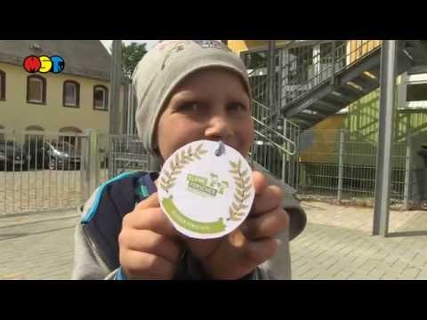 Haus der kleinen Forscher Kita Königsfeld