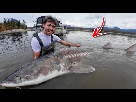 I caught the BIGGEST FISH on the Planet.. (RIVER MONSTER)