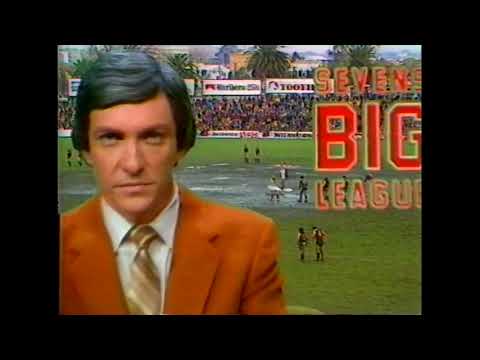 1981 - Essendon v Fitzroy - Rd 15