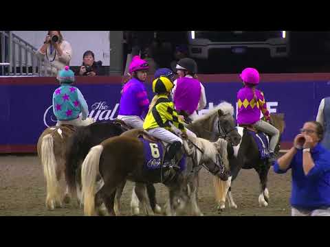 Shetland Pony Racing at #RAWF103