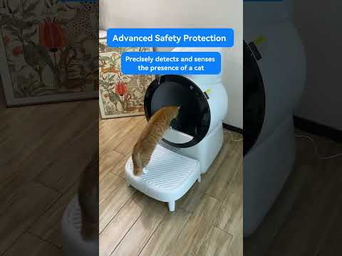 Cat Owners, You Need to See This