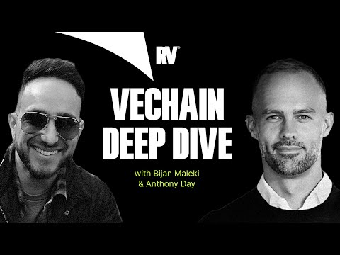 A Deep Dive: VeChain