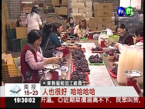 總統homestay 週三入住東勢農家