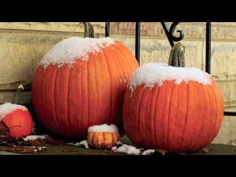 When the Frost is on the Pumpkin