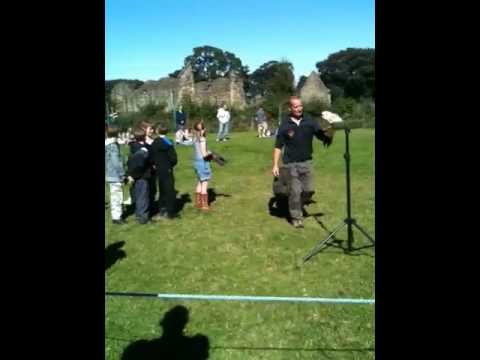 Hawksdrift in greenfield valley aug 2010