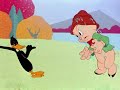 Porky Tries Molesting Daffy