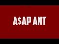 Black Dice Presents: A$AP ANT (Feat @BSM914)