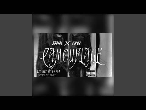 Camouflage (feat. 784L)