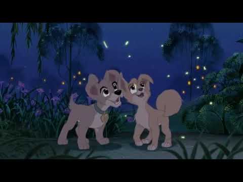 Fuli's Den Part 12 - A Meeting