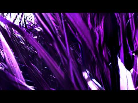 Dodecahedragraph - Atan3fftrack (PF FSV2)