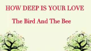 How Deep Is Your Love Lyrics | The Bird And The Bee