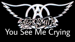 AEROSMITH - You See Me Crying (Lyric Video)