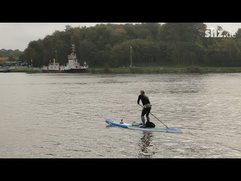 95 Kilometer durch Schleswig-Holstein: Paddeln für den guten Zweck