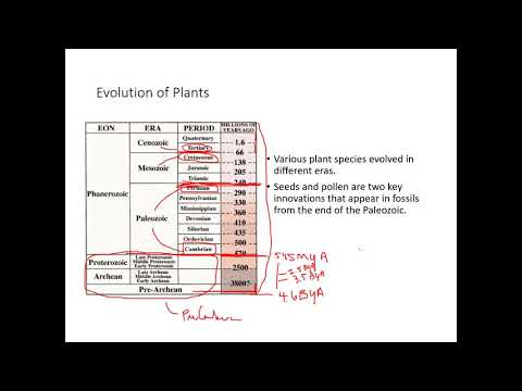 BIOL 1407 Chapter 26 Part 1 Recorded Lecture
