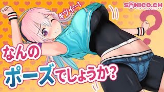 【ジェスチャーゲーム】皆さん分かって頂けますでしょうか？【すーぱーそに子】