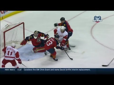 13/14 RS: Det @ Fla Highlights - 2/6/14