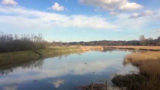 Suffolk UK Winter 2015/2016