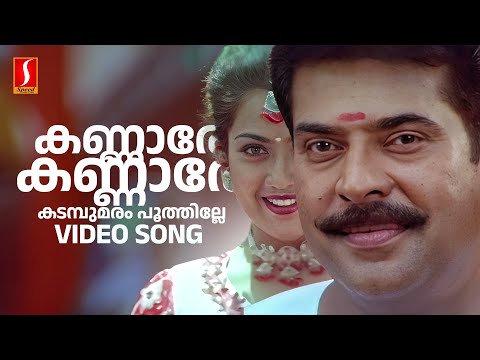Kannare Kannare Video Song | Mammootty | Meena | Dileep | KS Chithra | MG Sreekumar | Mohan Sithara