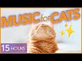 [NO ADS] Magic Music to Calm Cats 🪄 15Hr UNINTERRUPTED Lullaby 🐱