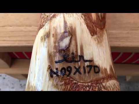 Agave 9 ( How to make an Agave Didgeridoo )