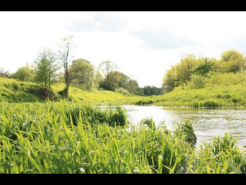 Baidarėmis Nerimi: Vilnius-Kaunas
