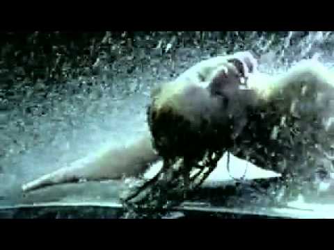 Marc Et claude.Tremble