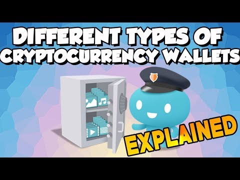 Different Types of Cryptocurrency Wallets Explained In 2 Minutes